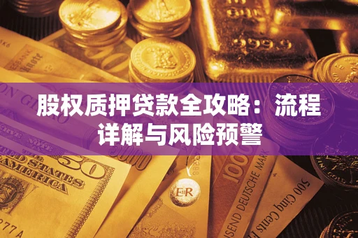 北京股权质押贷款全攻略：流程详解与风险预警