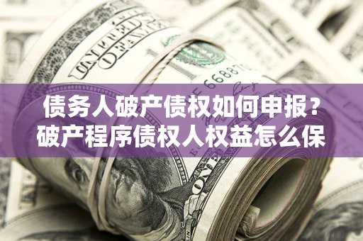 北京债务人破产债权如何申报？破产程序债权人权益怎么保障？