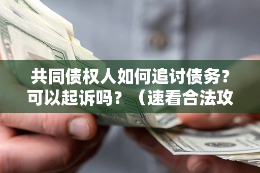 北京共同债权人如何追讨债务？可以起诉吗？（速看合法攻略）